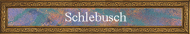 Schlebusch